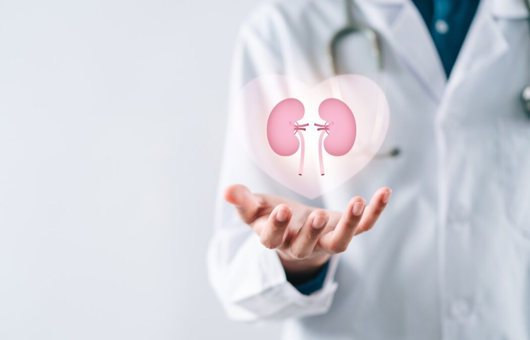World of Nephrology: Vital Insights from the Best Nephrology Doctor in Bangalore